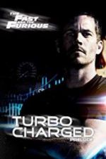 Watch Turbo Charged Prelude to 2 Fast 2 Furious Moviesjoy