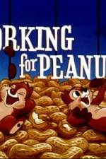 Watch Working For Peanuts Moviesjoy