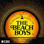 Watch A Grammy Salute to the Beach Boys Moviesjoy