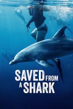 Watch Saved from a Shark Moviesjoy