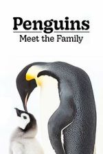 Watch Penguins: Meet the Family Moviesjoy