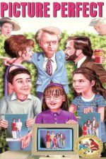 Watch Picture Perfect Moviesjoy