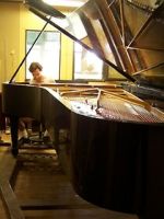 Watch Note by Note: The Making of Steinway L1037 Moviesjoy