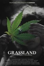 Watch Grassland Moviesjoy