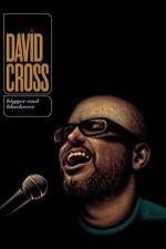 Watch David Cross Bigger & Blackerer Moviesjoy