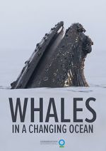 Watch Whales in a Changing Ocean (Short 2021) Moviesjoy