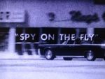 Watch Spy on the Fly (Short 1967) Moviesjoy