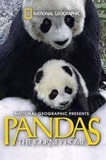 Watch Pandas: The Journey Home Moviesjoy