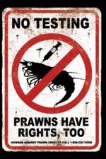 Watch Wikus and Charlize Moviesjoy