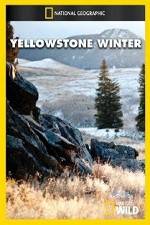 Watch National Geographic Yellowstone Winter Moviesjoy