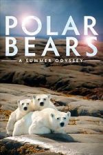 Watch Polar Bears: A Summer Odyssey Moviesjoy