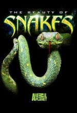 Watch Beauty of Snakes Moviesjoy