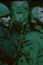 Watch Befrielsesbilleder Moviesjoy