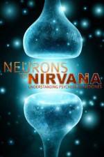 Watch Neurons to Nirvana Moviesjoy