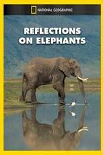 Watch Reflections on Elephants Moviesjoy