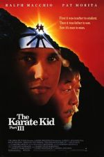 Watch The Karate Kid Part III Moviesjoy