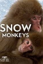 Watch Nature: Snow Monkeys Moviesjoy