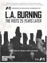 Watch L.A. Burning: The Riots 25 Years Later Moviesjoy