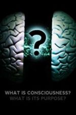 Watch What Is Consciousness? What Is Its Purpose? Moviesjoy