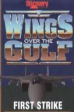 Watch Wings Over the Gulf Vol  1  First Strike Moviesjoy