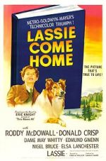 Watch Lassie Come Home Moviesjoy