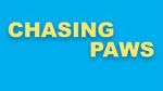 Watch Chasing Paws (Short 2020) Moviesjoy