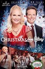 Watch A Christmas Love Story Moviesjoy