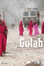 Watch Gulabi Gang Moviesjoy