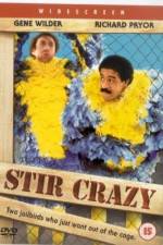Watch Stir Crazy Moviesjoy