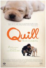 Watch Quill: The Life of a Guide Dog Moviesjoy