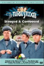 Watch Violent Is the Word for Curly Moviesjoy