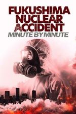 Watch Fukushima Nuclear Accident - Minute by minute Moviesjoy