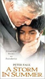 Watch A Storm in Summer Moviesjoy