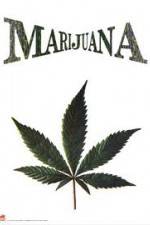 Watch Nederwiet De Moevie Moviesjoy