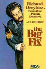 Watch The Big Fix Moviesjoy