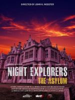 Watch Night Explorers: The Asylum Moviesjoy