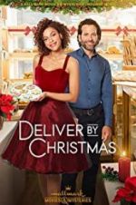 Watch Deliver by Christmas Moviesjoy