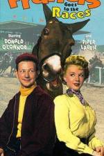 Watch Francis Goes to the Races Moviesjoy