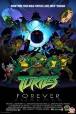 Watch Teenage Mutant Ninja Turtles Turtles Forever Moviesjoy