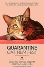 Watch Quarantine Cat Film Fest Moviesjoy
