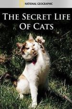Watch The Secret Life of Cats Moviesjoy
