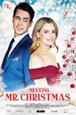 Watch Meeting Mr. Christmas Moviesjoy