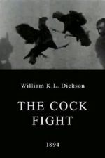 Watch The Cock Fight Moviesjoy
