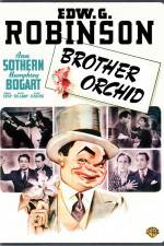 Watch Brother Orchid Moviesjoy