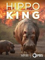 Watch Hippo King Moviesjoy