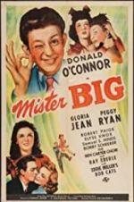 Watch Mister Big Moviesjoy