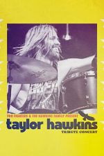 Watch Taylor Hawkins Tribute Concert Moviesjoy