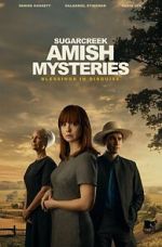 Watch Sugarcreek Amish Mysteries: Blessings in Disguise Moviesjoy