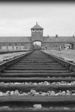 Watch AUSCHWITZ: ORDERS AND INITIATIVES Moviesjoy