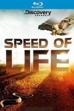 Watch Speed of Life Moviesjoy